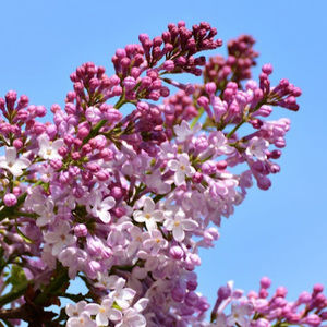 Meet your Posher, Seth